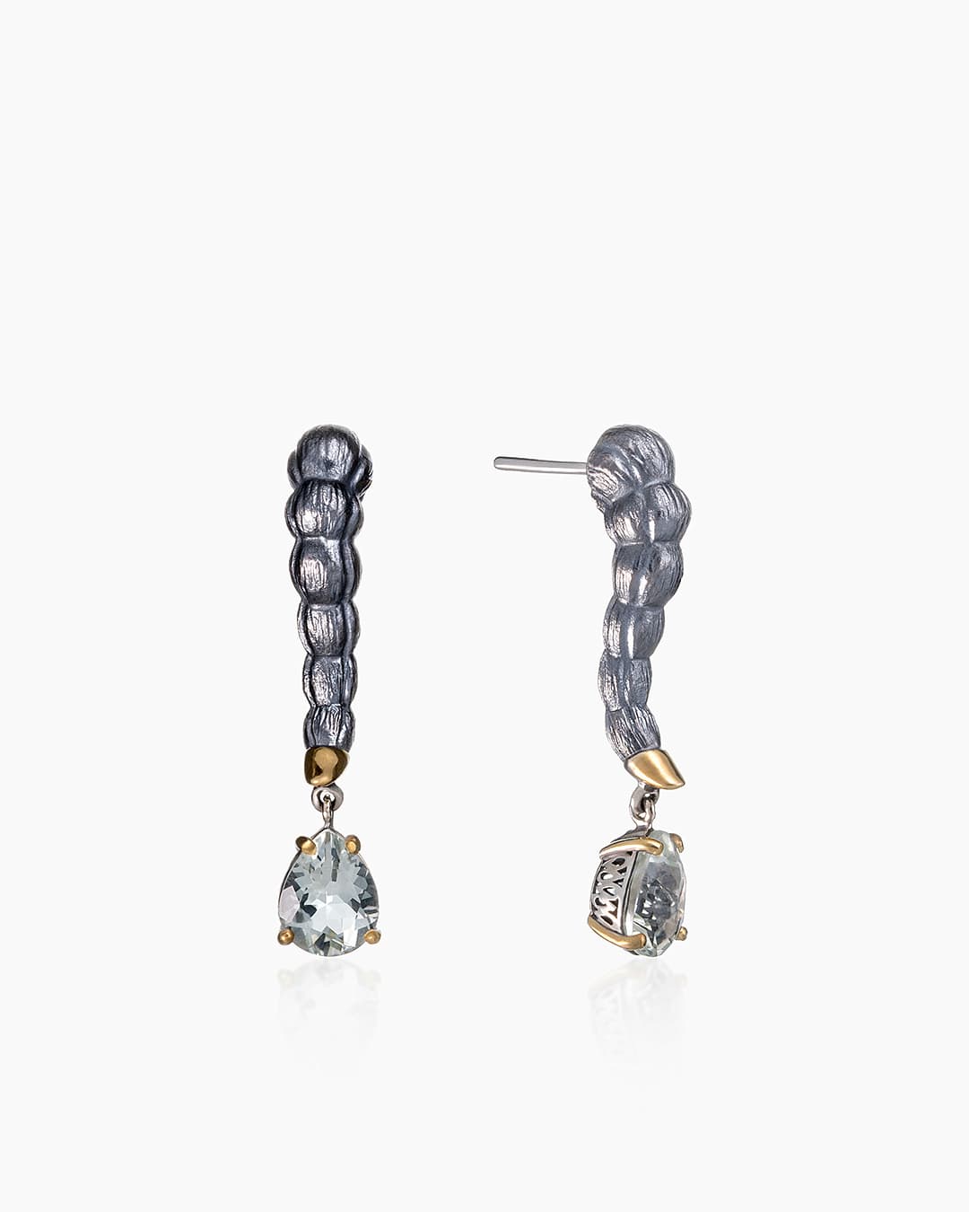 Picture of the author