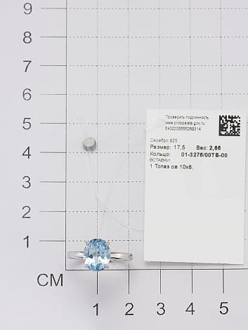 Picture of the author