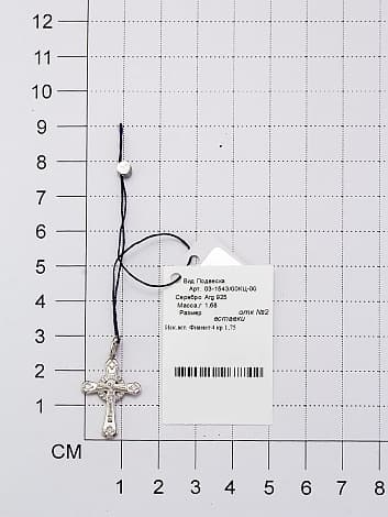 Picture of the author