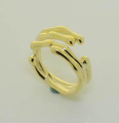 Picture of the author