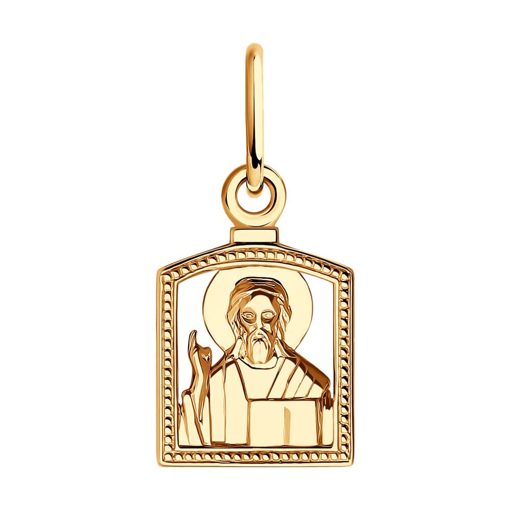 Picture of the author