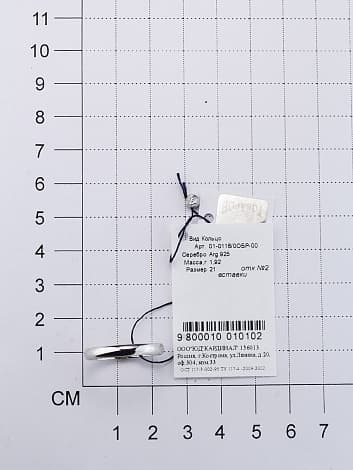 Picture of the author