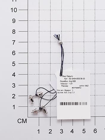 Picture of the author