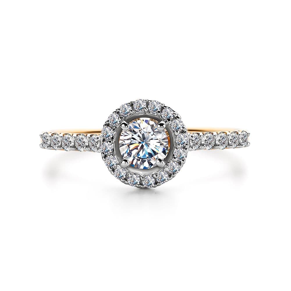 Picture of the author