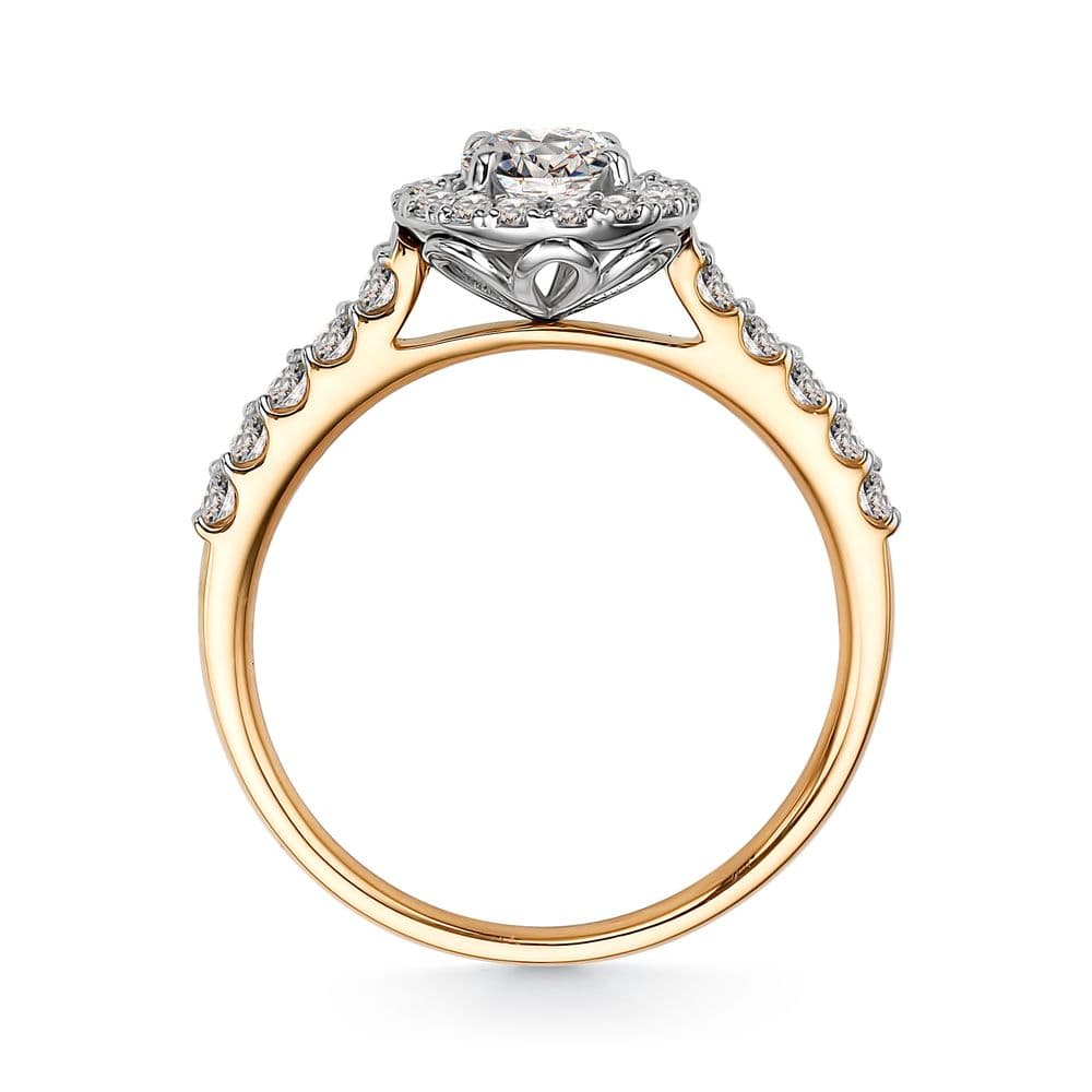 Picture of the author