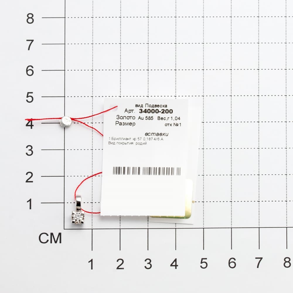 Picture of the author