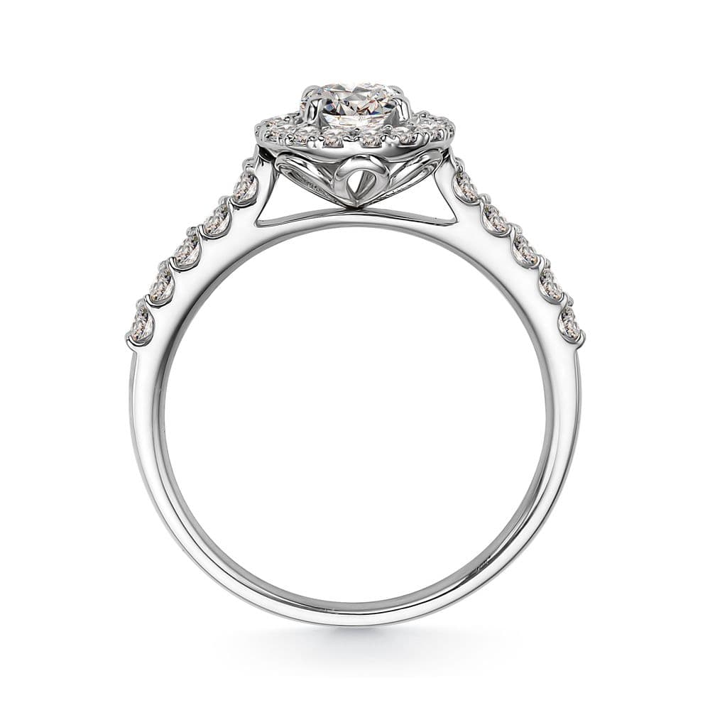 Picture of the author