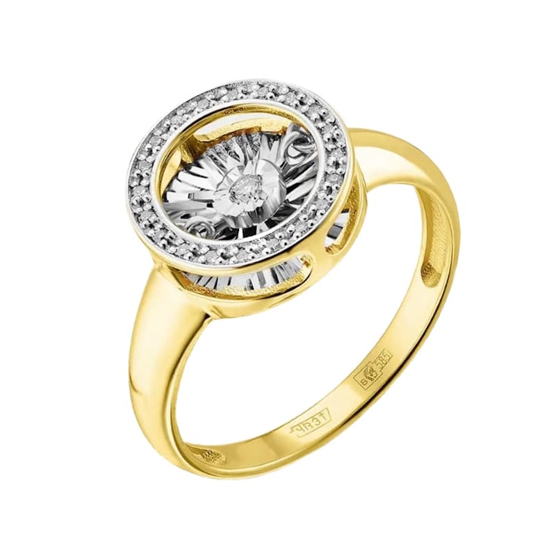 Picture of the author