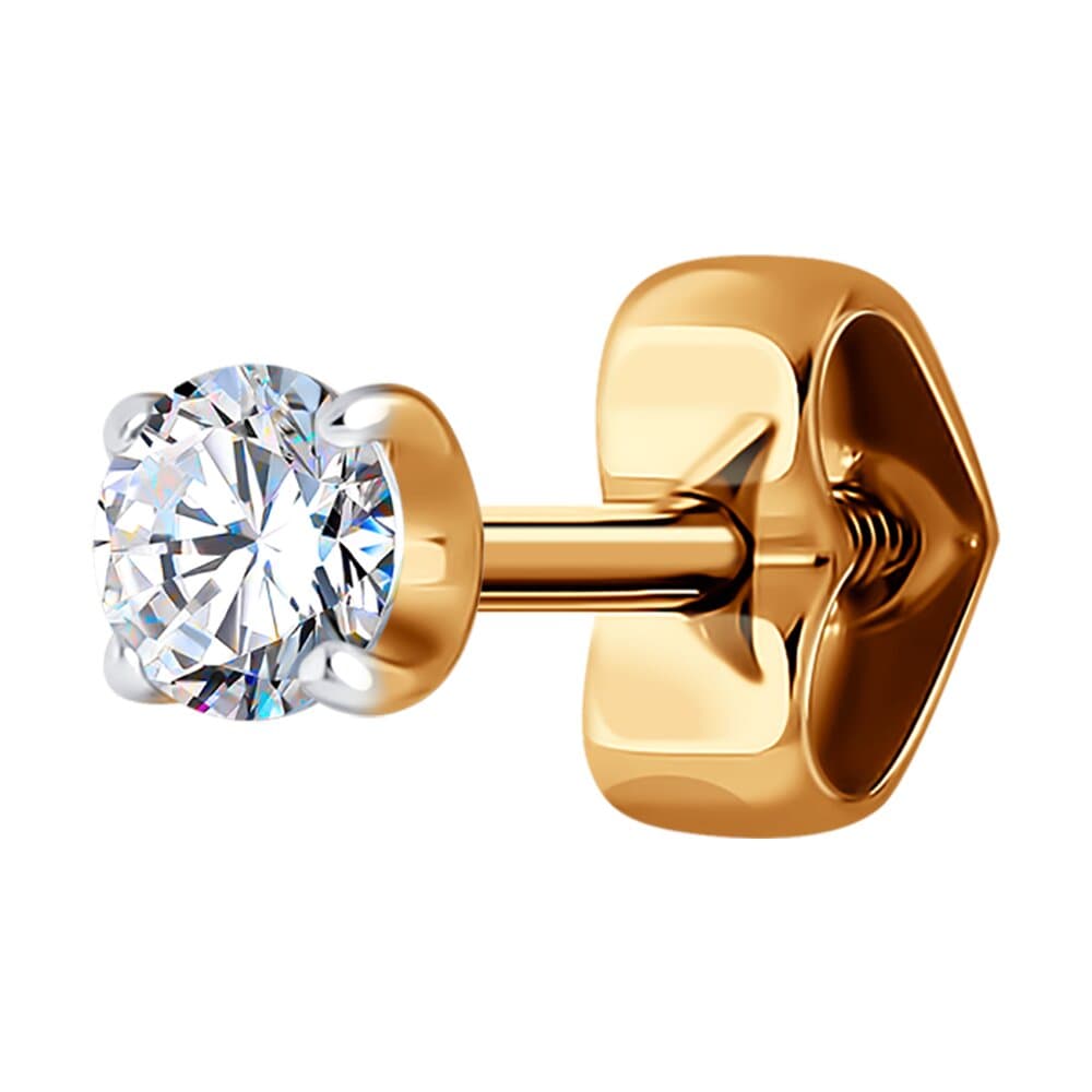 Picture of the author