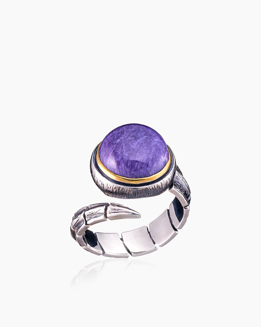 Picture of the author