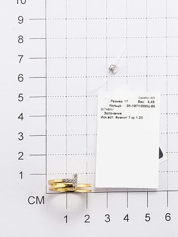 Picture of the author