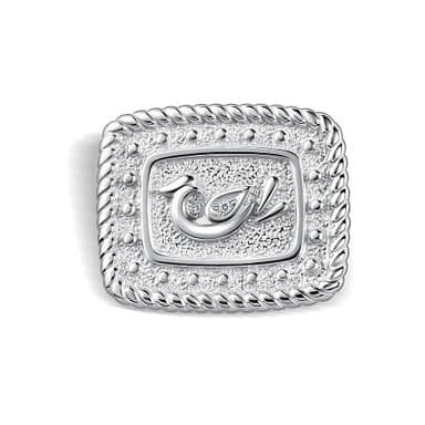 Брошь из серебра 925 с бриллианитами