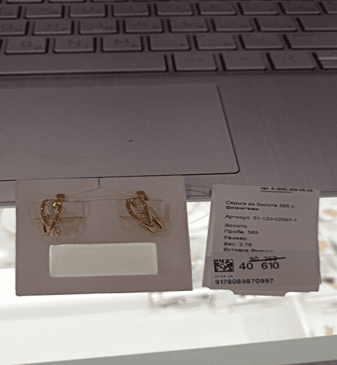 Picture of the author