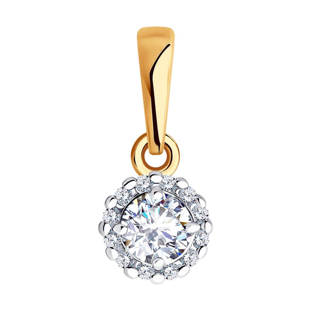 Picture of the author