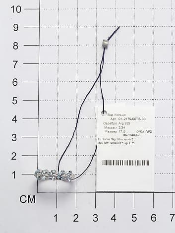 Picture of the author