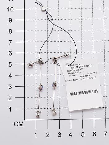 Picture of the author