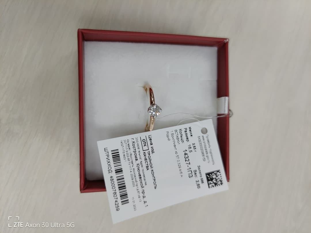 Picture of the author