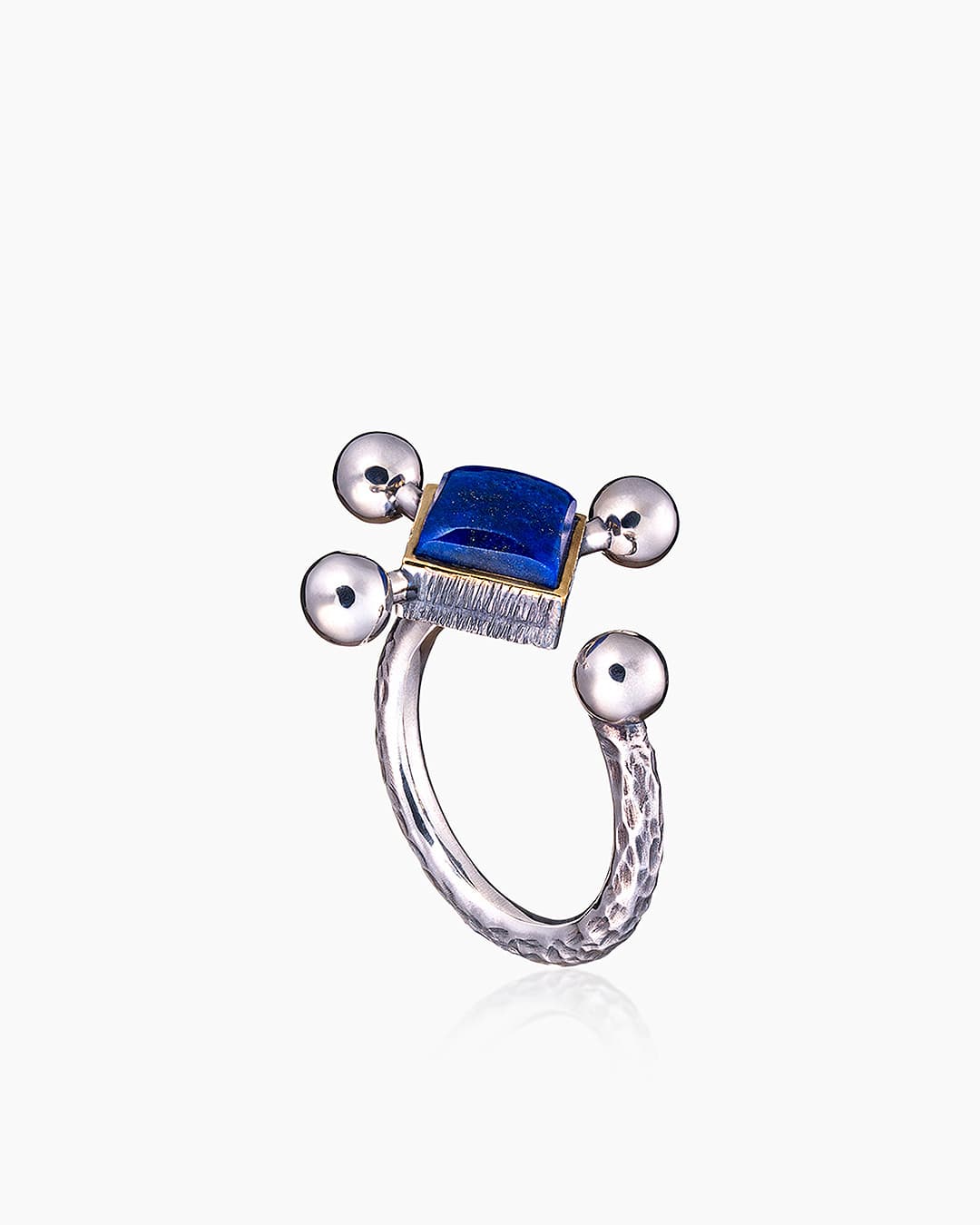 Picture of the author