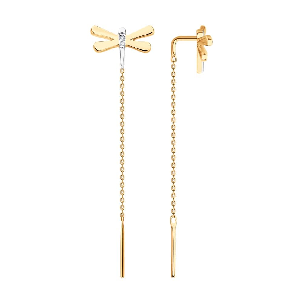 Picture of the author