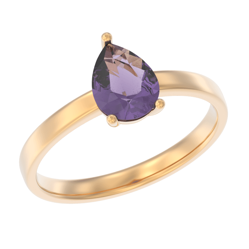 Picture of the author