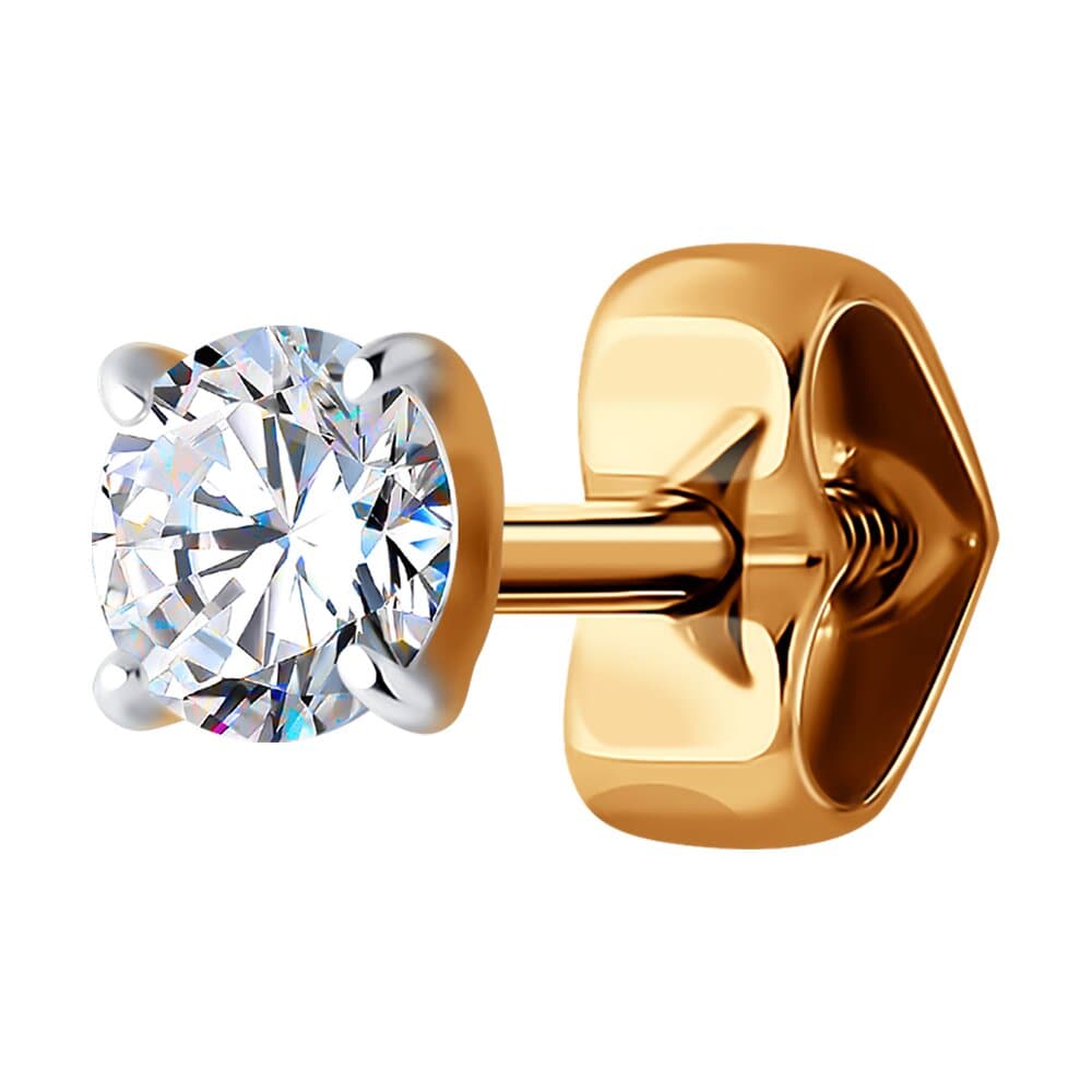 Picture of the author